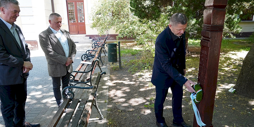 Alapértelmezett cikk nézet