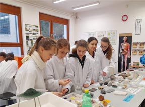 Zárul a Selye János Diáklaborhálózat projekt Duna-Tisza-közén